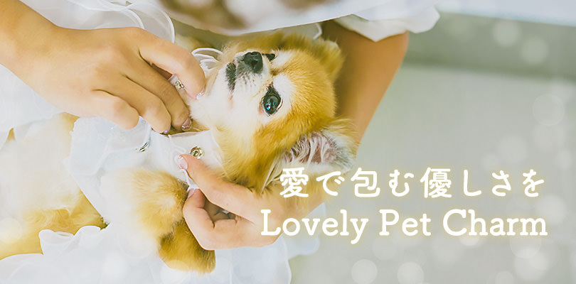 愛で包むやさしさを Lovely Pet Charm